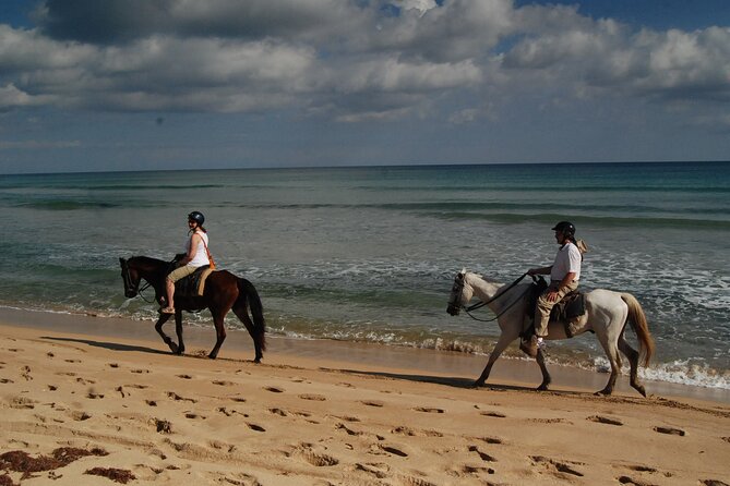 Punta Cana Horseback Riding on the Beach - Price and Value: Is $75 Worth It?