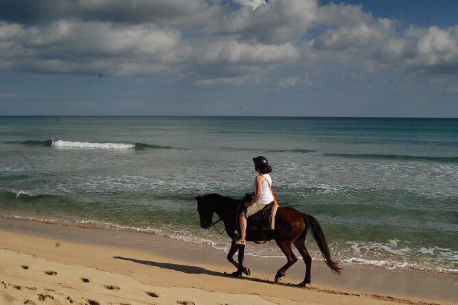 Punta Cana Horseback Riding on the Beach - Group Size, Skill Levels, and Who This Fits Best