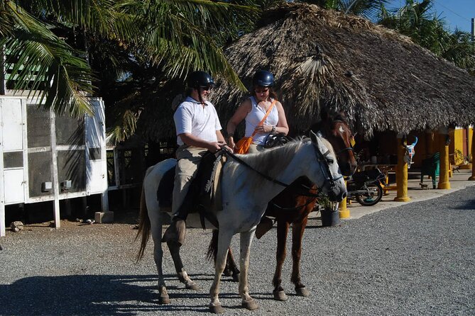 Punta Cana Horseback Riding on the Beach - The Ride Itself: What You’ll Do on the Beach