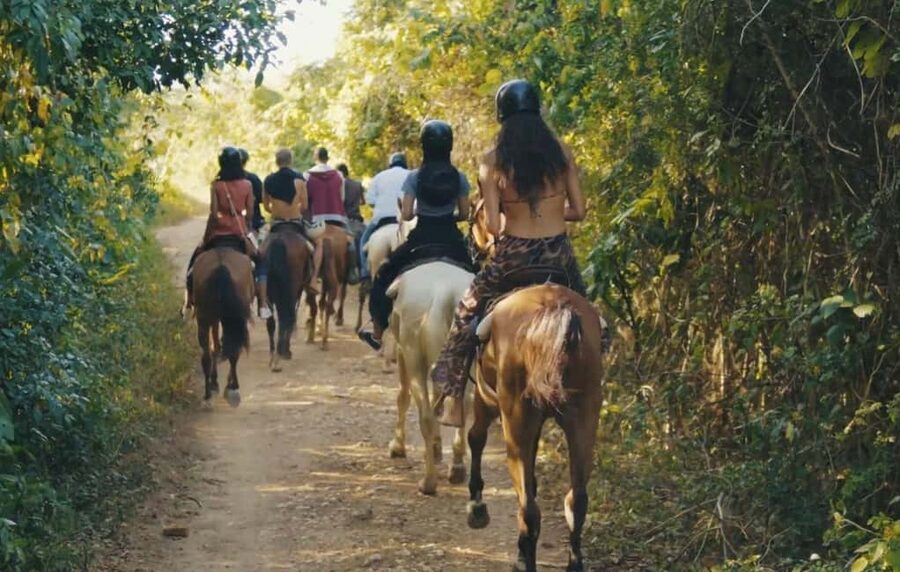 Punta Cana Horseback riding & Sunset + beach + free pick-up - Key moments you’ll care about