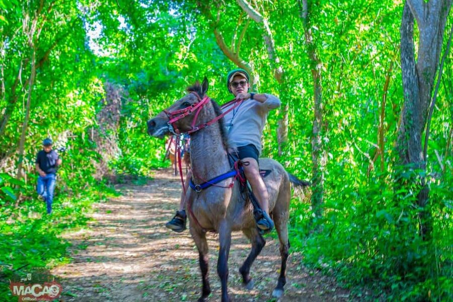 Punta Cana Horseback riding & Sunset + beach + free pick-up - Free pickup, meeting points, and how to plan your timing