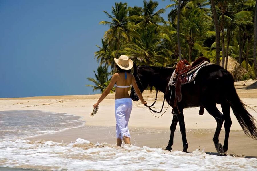 Punta Cana: Horseback Riding through Stunning Beaches - Key Points Worth Knowing Before You Saddle Up