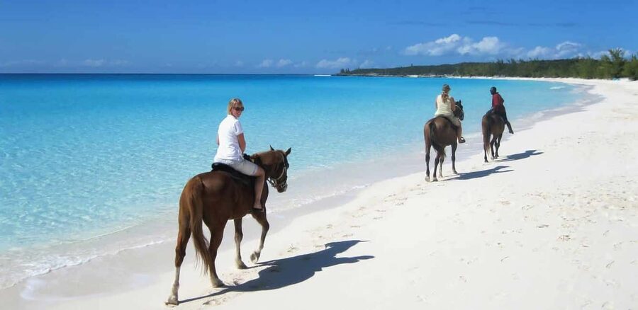 Punta Cana: Horseback Riding through Stunning Beaches - Entering The Ride: What the 3-Hour Tour Feels Like