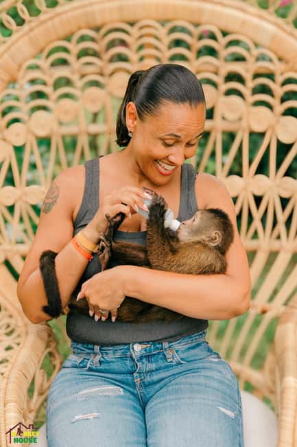 Punta Cana: Interactive Experience at Monkey House - Key Moments That Make This Tour Worth Considering
