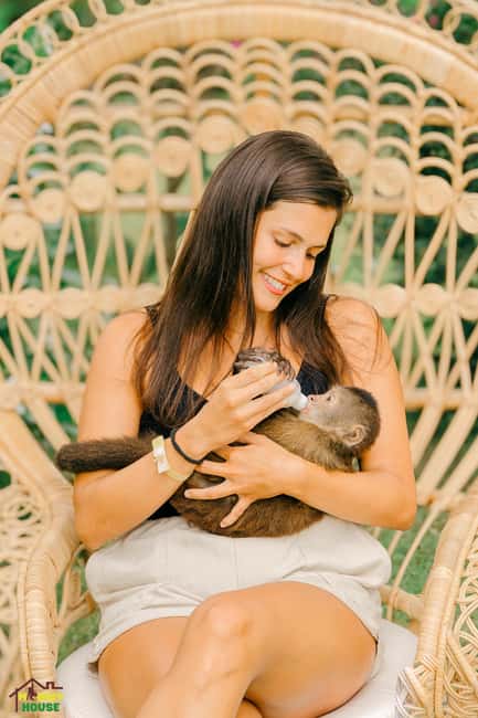 Punta Cana: Interactive Experience at Monkey House - The Local Store Stop: Handmade Souvenirs With Real Dominican Flavor