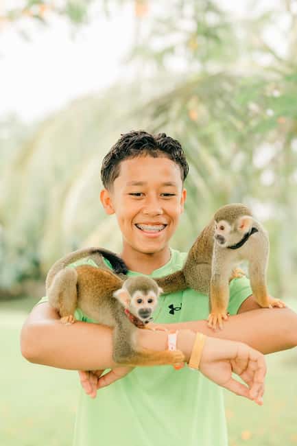 Punta Cana: Interactive Experience at Monkey House - Practical Tips for Monkey House Success (So You’re Not Rushing)