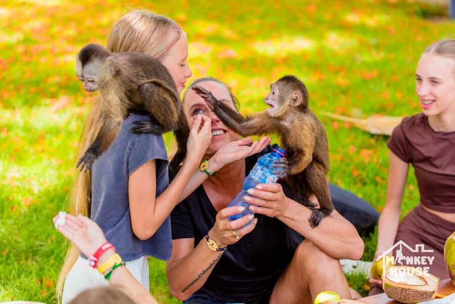Punta Cana: Interactive Experience at Monkey House - Meeting Four Species: The First Activity Under the Tree