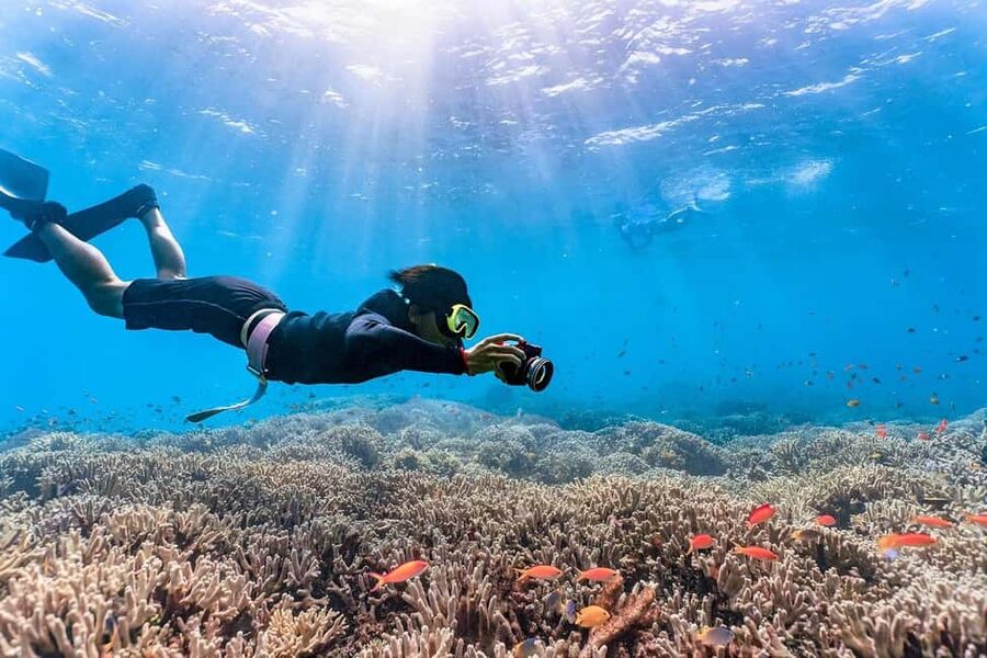 Punta Cana: Island escape to catalina • snorkeling & lunch - The 20-minute break: shopping and getting oriented