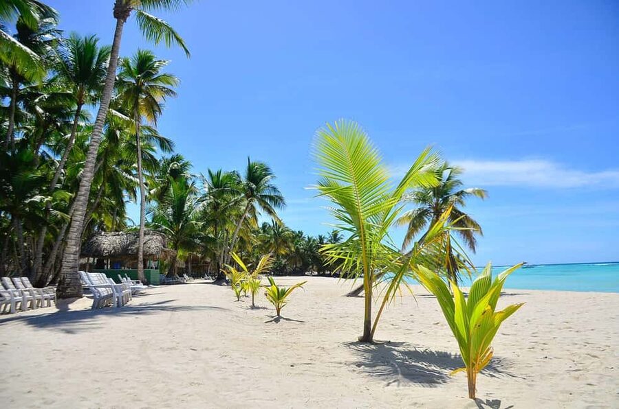 Punta cana: Island Escape to Saona • catamaran & Beach lunch - First stop: the Dominican Republic’s largest natural pool swim