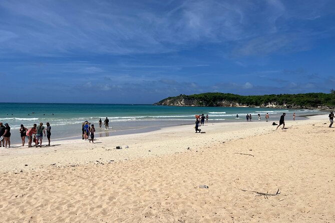 Punta Cana Jungle Buggy Tour: Macao Beach Visit and Cenote Swim - Price and value at about $27: what’s included, what costs extra
