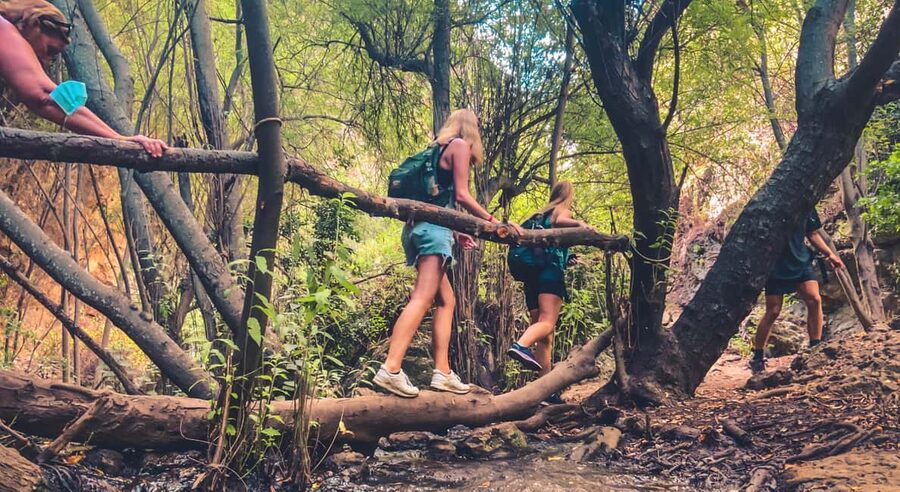 Punta Cana: Los Haitises Hike & Kayaking Mangroves - Key highlights from the day