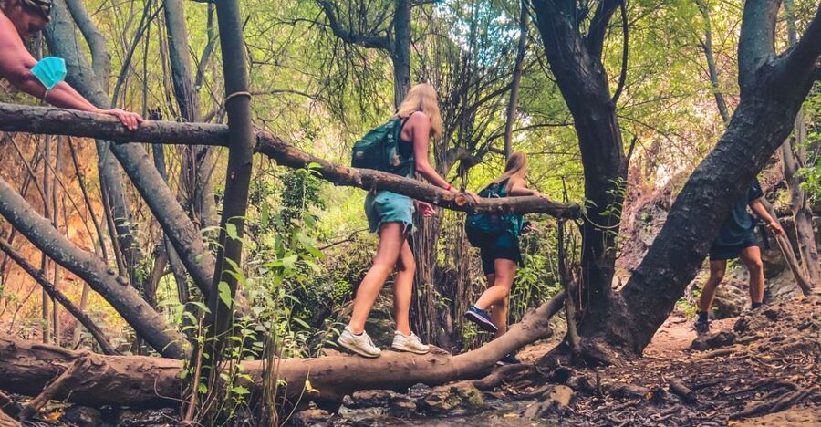 Punta Cana: Los Haitises Hike & Kayaking Mangroves - Caves visit: a change of scenery that still feels natural