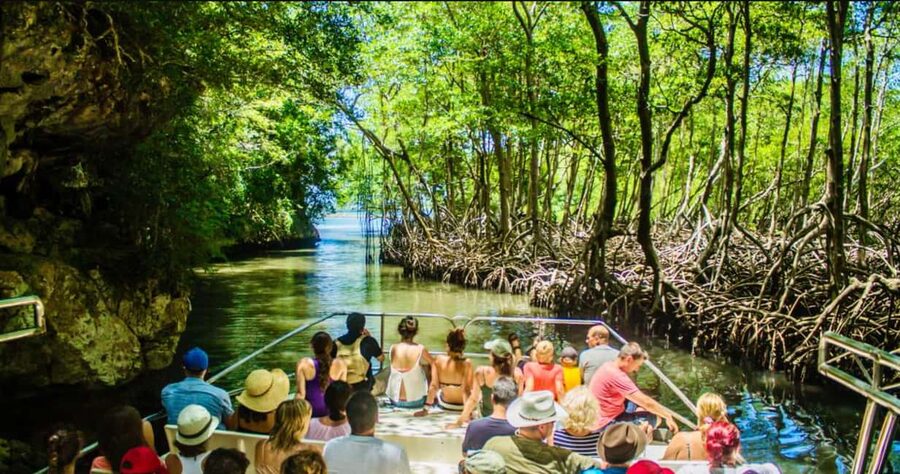 Punta Cana: Los Haitises National Park Full-Day Tour - Caño Hondo Boat Ride: Mangroves, Pelicans, and Mogotes