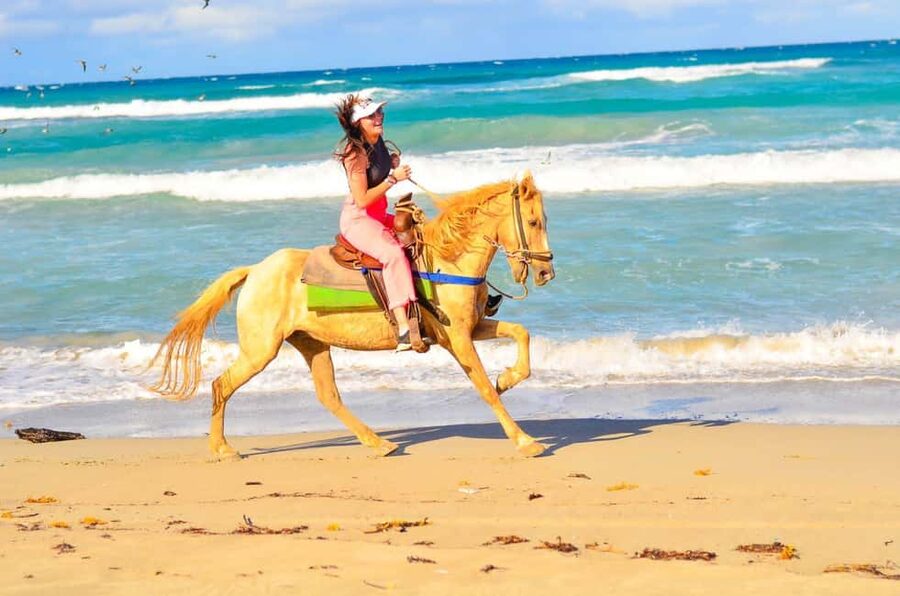 Punta Cana: Macao Beach & Forest Horseback Riding Tour - Guides you might recognize: Andrew, Lilo, Luis, and Louie