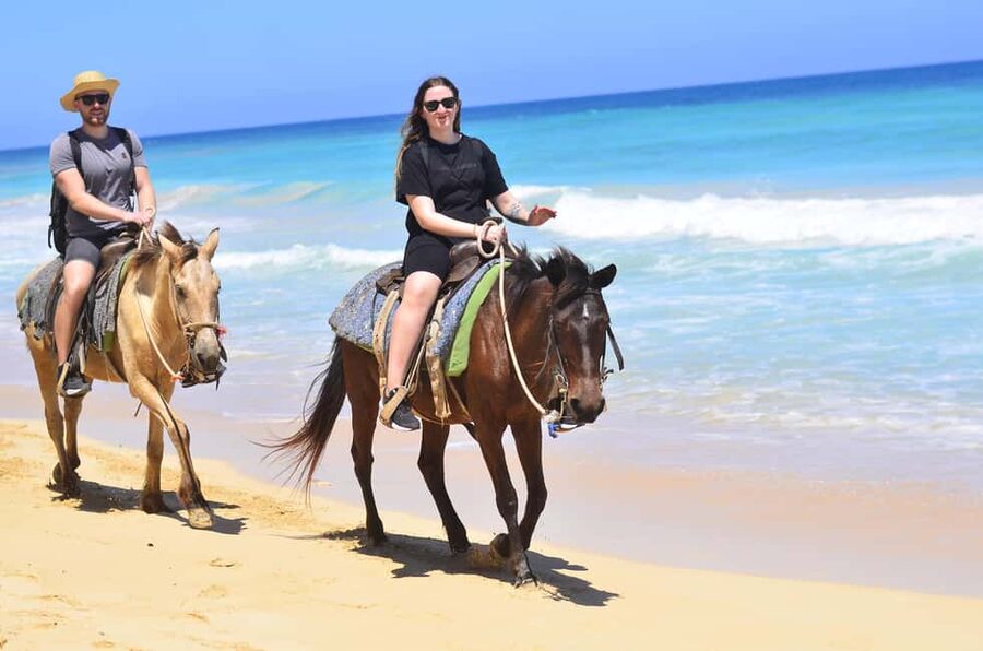 Punta Cana: Macao Beach & Forest Horseback Riding Tour - The transport rhythm from Punta Cana hotels