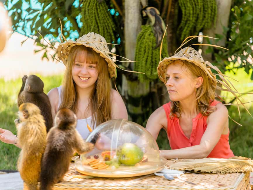 Punta Cana: Monkey Adventure by Jhoraji With Hotel Pick-Up - Clothing, Comfort, and the Sticky-Paw Reality