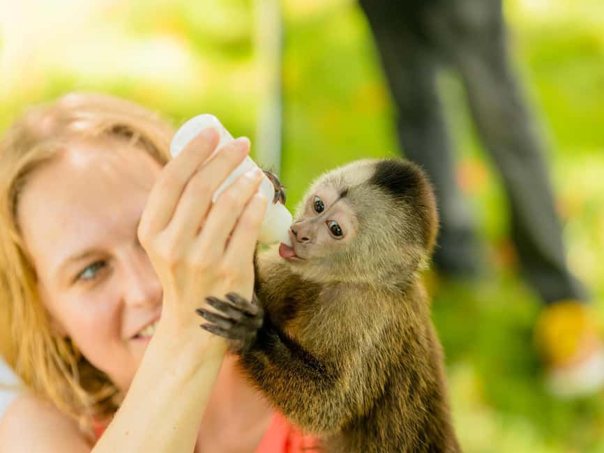 Punta Cana: Monkey Adventure by Jhoraji With Hotel Pick-Up - Who Should Book This Monkey Adventure, and Who Might Skip
