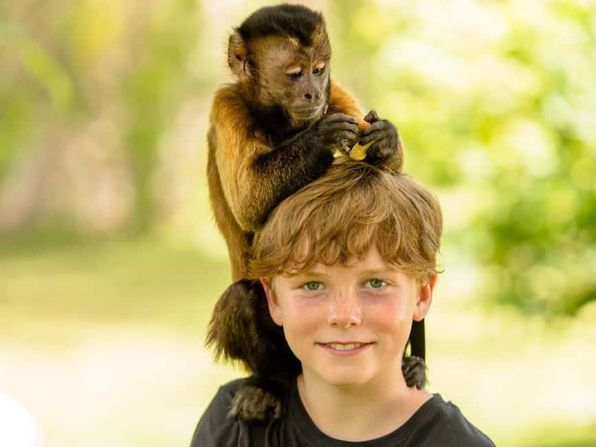 Punta Cana: Monkey Adventure by Jhoraji With Hotel Pick-Up - The Four Monkey Species You Will Meet in La Altagracia