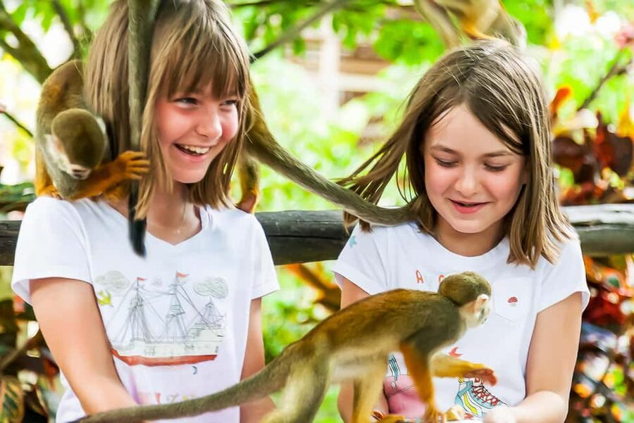 Punta Cana: Monkey Land Half-Day Safari and Plantation - Key highlights