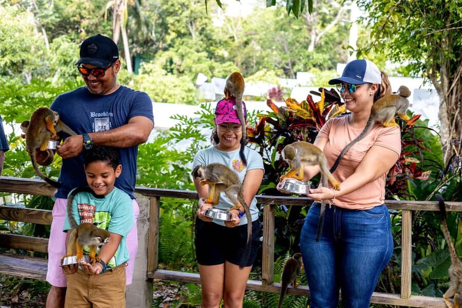 Punta Cana: Monkey Land Half-Day Safari and Plantation - What You Really Do on This Punta Cana Half-Day Safari