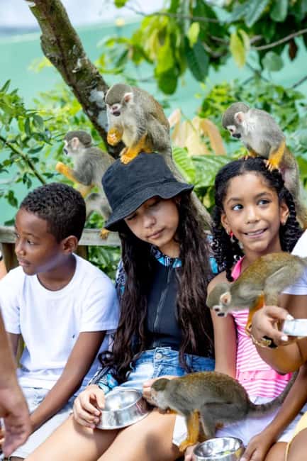Punta Cana: Monkey Sanctuary Half-Day Tour - Key things I’d circle before you book