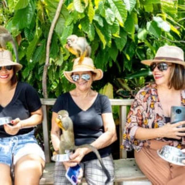 Punta Cana: Monkey Sanctuary Half-Day Tour - Why this 4-hour monkey encounter works as a half-day plan