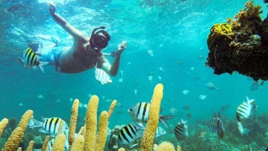Punta Cana: Party Boat and Snorkeling Adventure - Punta Cana party boat, the smart way to combine sea time and fun