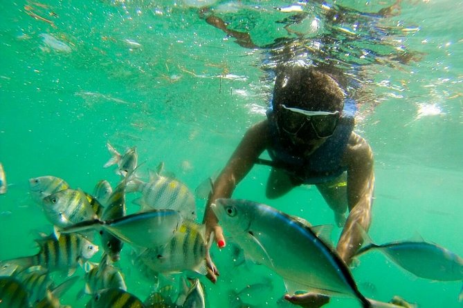 Punta Cana Party Boat Snorkeling with Music DJ and Open Bar - 3 Hours in the Party Zone, With Real Reef Time
