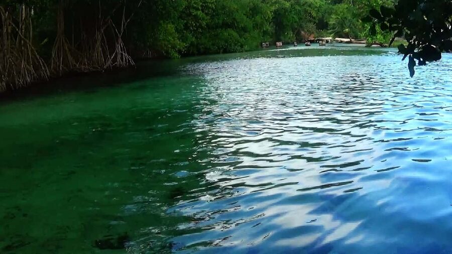 Punta Cana: Playa Rincon, Samana, & Cayo Levantado Day Trip - EcoAdventures and the Communication Factor That Actually Matters