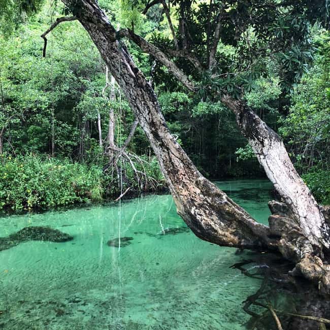 Punta Cana: Playa Rincon, Samana, & Cayo Levantado Day Trip - Getting There: The Real Schedule Behind the Samaná Loop
