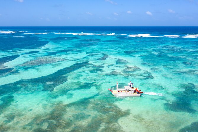 Punta Cana Private Catamaran Cruise: Snorkeling, Beach & BBQ - Private Catamaran Value in Punta Cana (and Why It Feels Different)