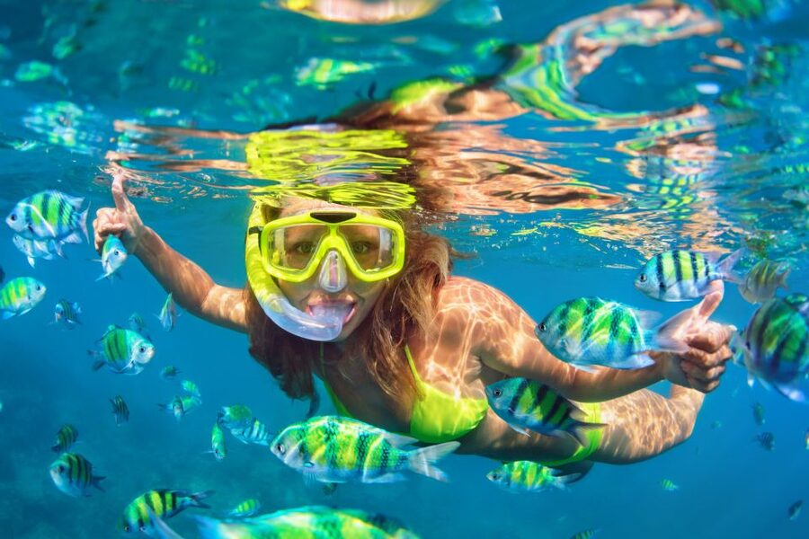Punta Cana Private Catamaran (Small Group) - Price and Value: When $650 Fits Real Group Budget Math