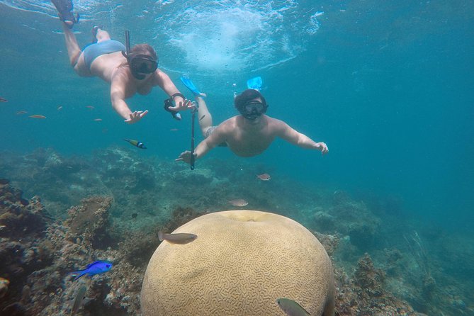 Punta Cana Private Cruise Up To 10 Snorkeling & Seafood lunch - Key points worth knowing before you go