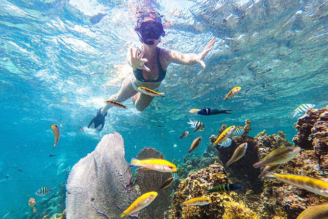 Punta Cana Private Cruise Up To 10 Snorkeling & Seafood lunch - Private catamaran pacing, your music, and a route you control