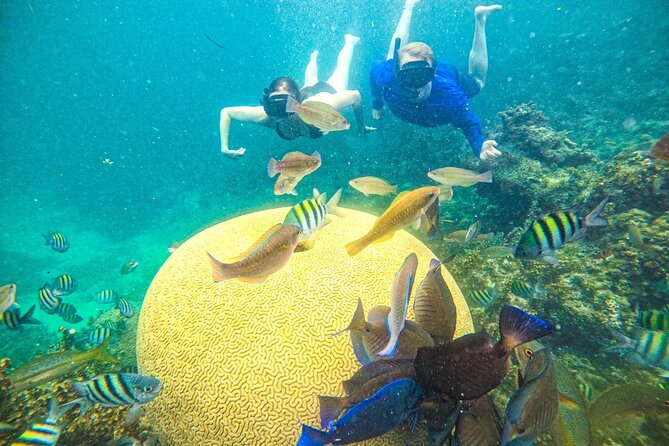 Punta Cana Private Cruise Up To 10 Snorkeling & Seafood lunch - Price math: what you’re really paying for with up to 10 people