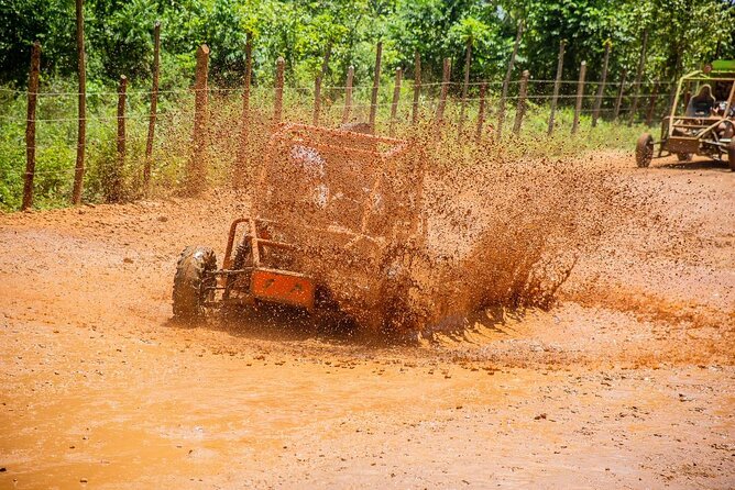 Punta Cana Private off-road buggy ride adventure - Macao Beach Sand Walk: A Calm Reset After the Off-Road Chaos