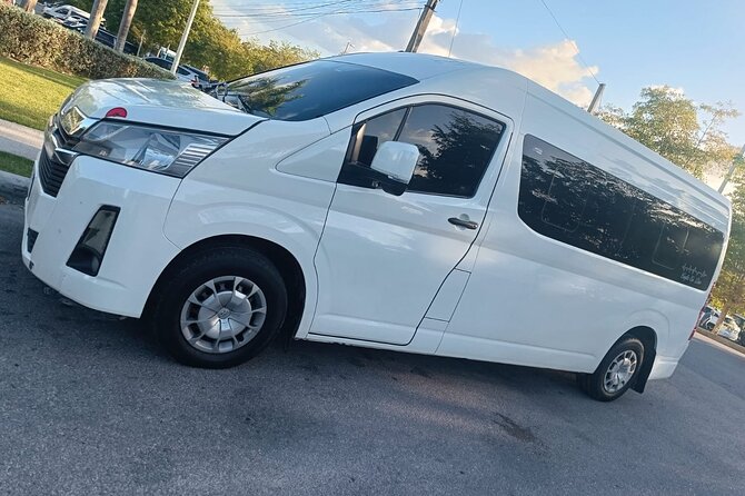 Punta Cana Private Transfer - Key things to know before you go