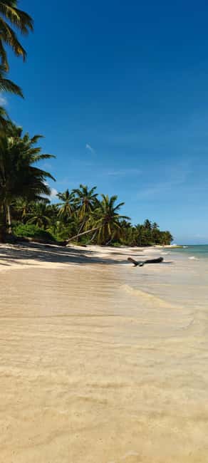 Punta Cana : Private yacht Snorkeling, Lagoon and Wild Beach - Key things I think you’ll enjoy