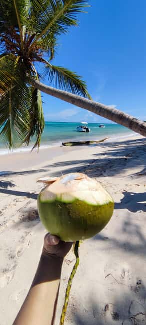Punta Cana : Private yacht Snorkeling, Lagoon and Wild Beach - Price and value for a private group up to 4, with the real tradeoffs