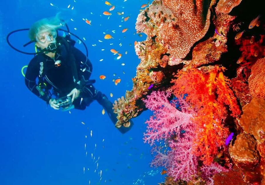 Punta Cana: Reef Diving Adventure Explore Underwater Wonders - Key Things To Know Before You Go