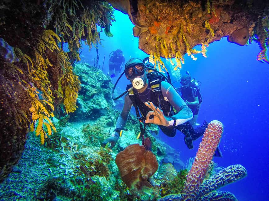 Punta Cana: Reef Diving Adventure Explore Underwater Wonders - Instructors Who Keep It Calm: Lessons That Feel Doable