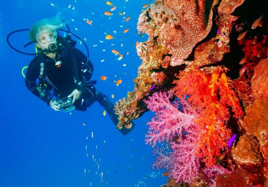 Punta Cana: Reef Diving Adventure Explore Underwater Wonders - Value for $135: Does This Punta Cana Outing Add Up?