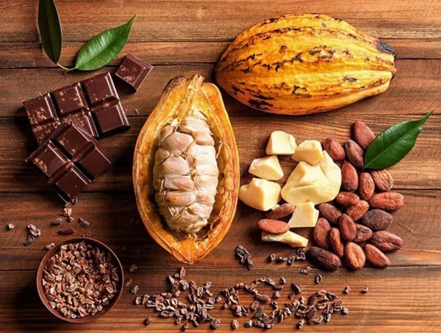Punta Cana’s Best Sunset Horse Ride - The Dominican Tasting Break: Coffee, Cacao, and Mamajuana