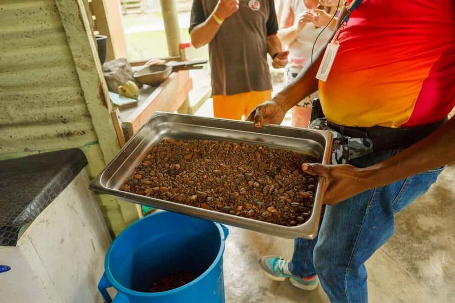 Punta Cana safari experience and historical city tour - Key takeaways before you go
