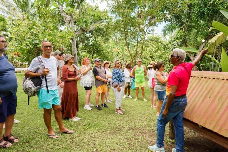 Punta Cana safari experience and historical city tour - Cigar factory and making your own cigar
