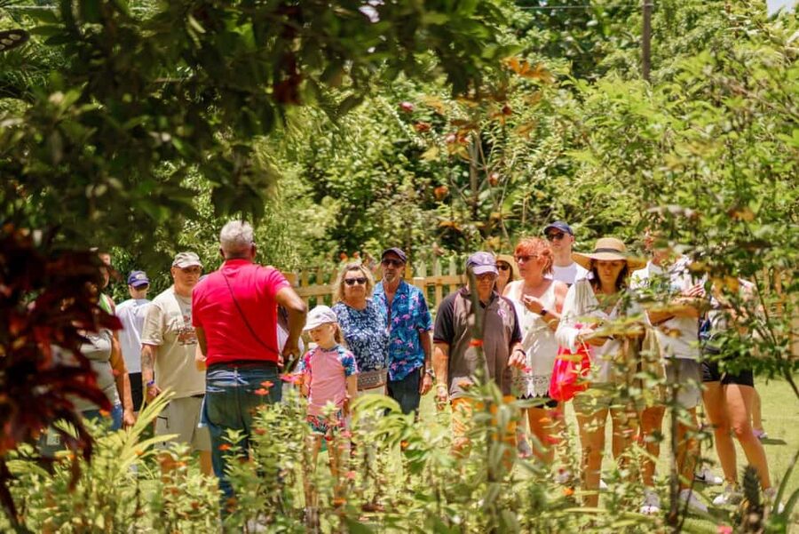 Punta Cana safari experience and historical city tour - Plantations and rural nature stops: where the production story clicks