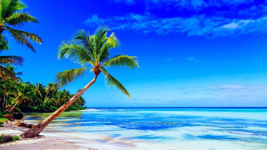 Punta Cana: Samaná Day Tour with Horse Ride and Cruise - From Punta Cana to Samaná: The 8-Hour Flow That Keeps Moving