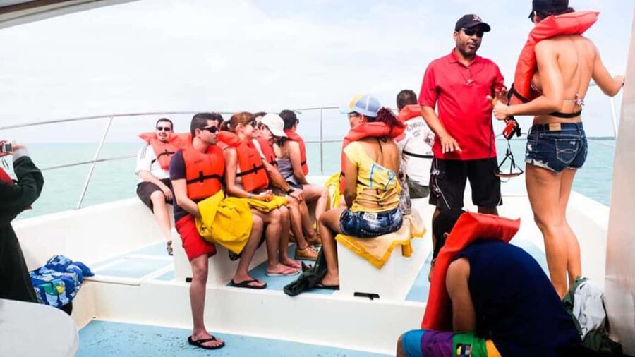 Punta Cana: Samana Full Day Trip Whale Cascada El Limon - Key points to know before you go