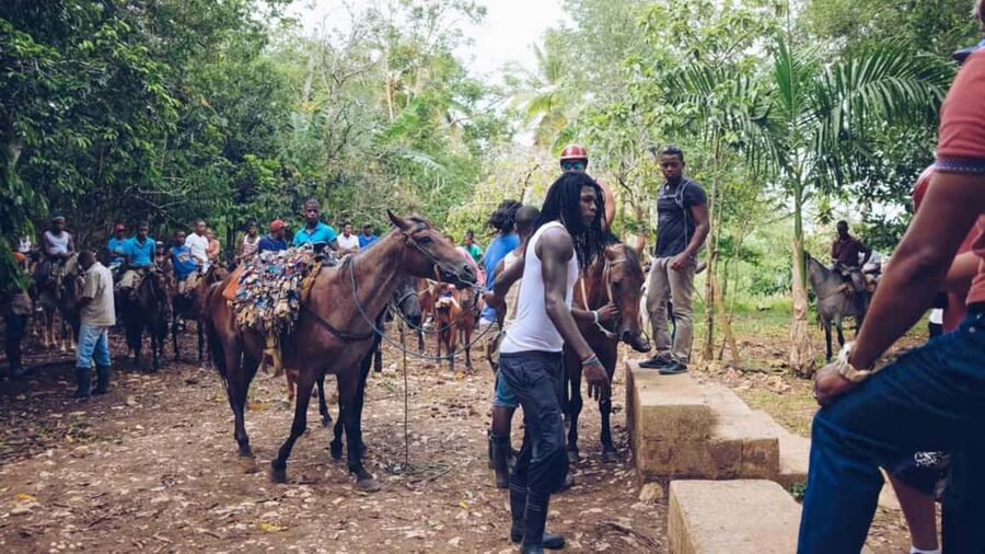 Punta Cana: Samana Full Day Trip Whale Cascada El Limon - Horseback riding (cabalgatas) in Samaná: good fun with real constraints
