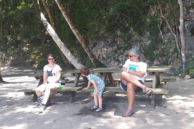 Punta Cana: Samaná, Lemon Falls and Bacardi Island - Why This Samaná and Lemon Falls Mix Feels Worth Your Time
